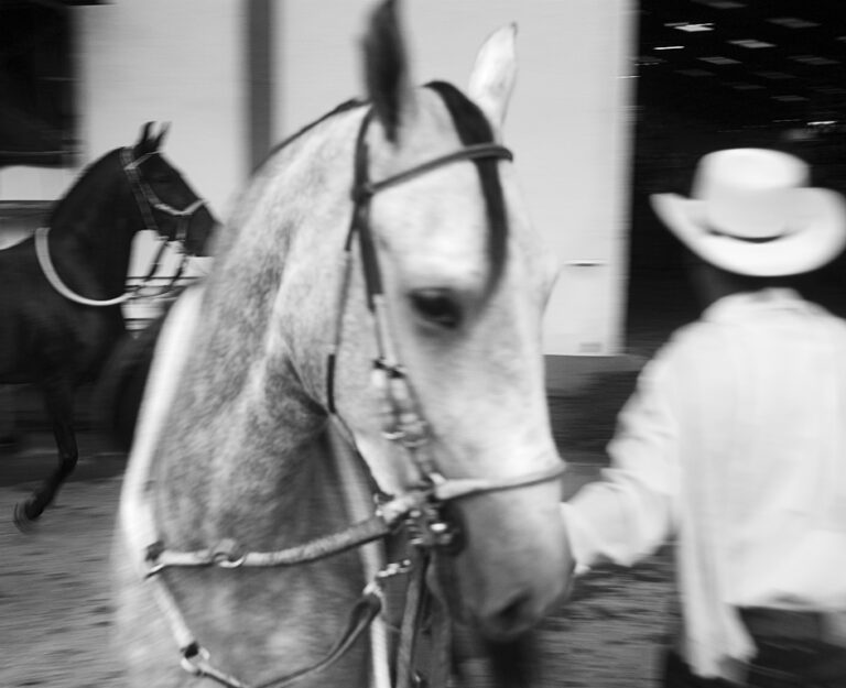 street life in colombia